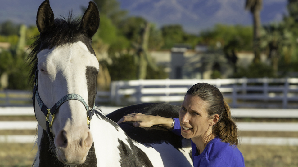 Sinnvolles Alltagstraining für Pferde mit Rückenproblemen