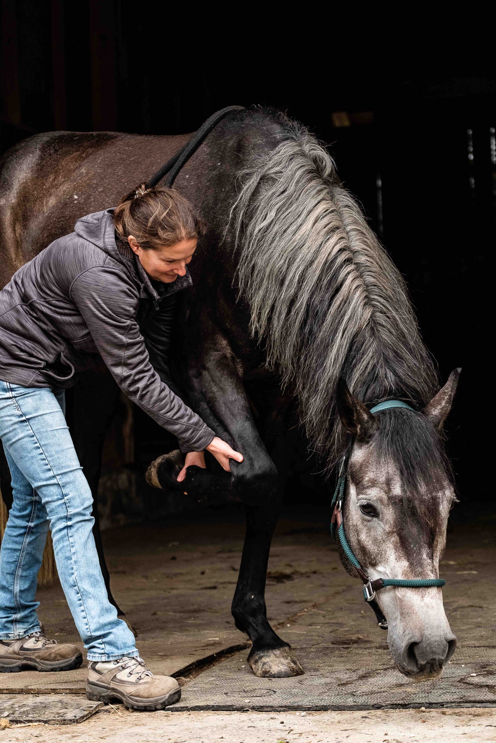 Kompetenzzirkel Bewegungsapparat: Modul Rückenprobleme