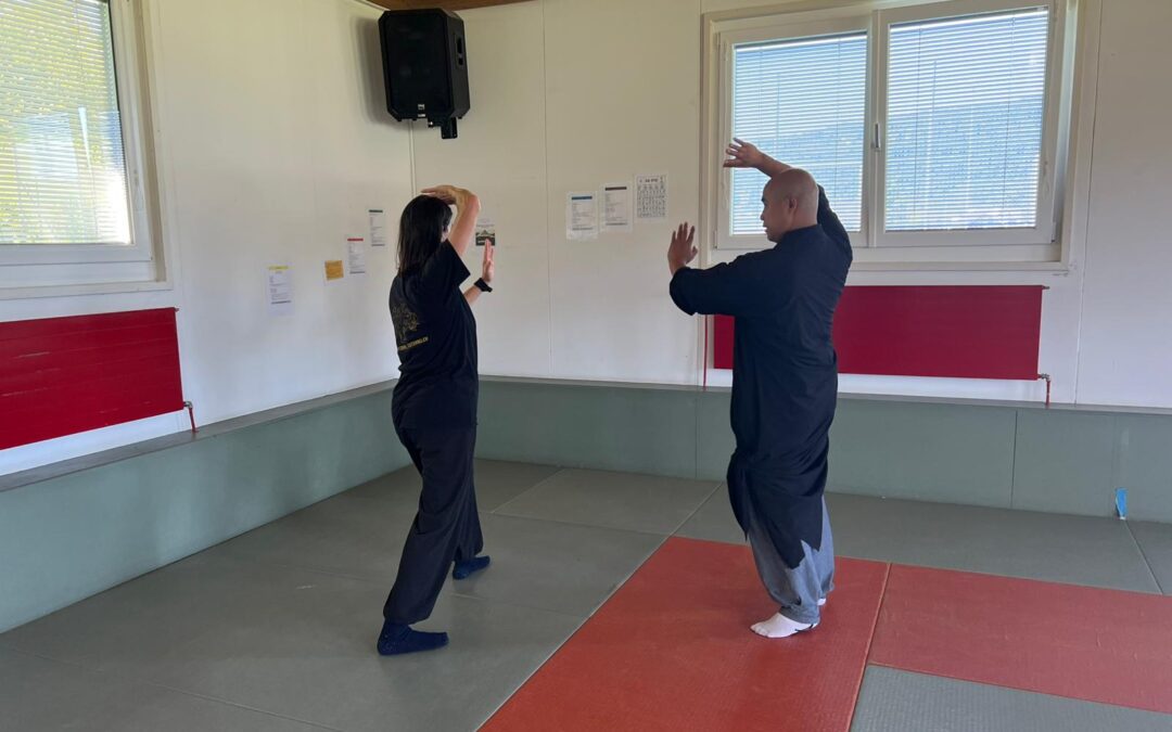 Rou Quan für ReiterInnen – Die Kunst der Balance: Taiji-Kurs mit Shaolin Mönch Yan Liang