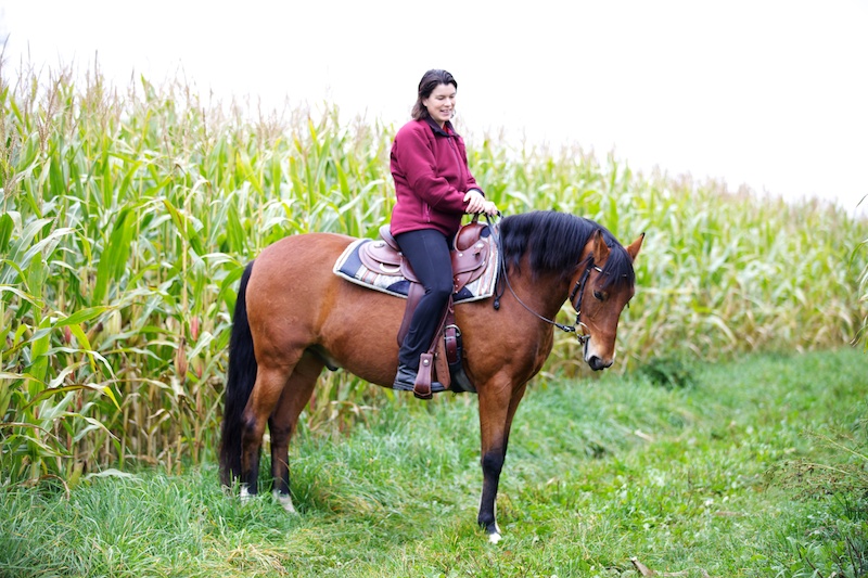 Gratis Live Webinar: Steif? Schlapp? Muskeln weg? Die 3 häufigsten Probleme bei Pferden nach dem Winter und was Du tun kannst