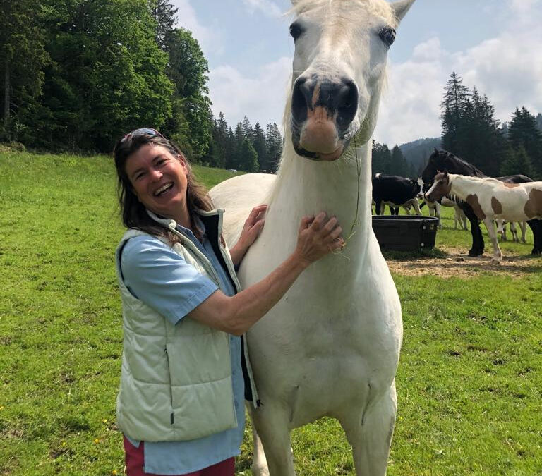 Sorgenkind Stoffwechselpferd – Fit und in Balance durch den Frühling