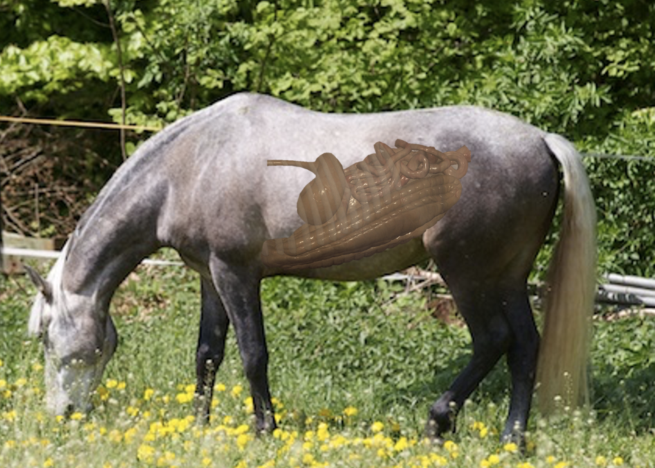 Live Webinar: Wenn der Darm Alarm schlägt: Kotwasser, Blähungen & Anweiden neu verstehen